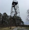 Trigg Tower