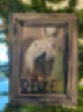 Belle Picture