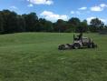 Yard work!